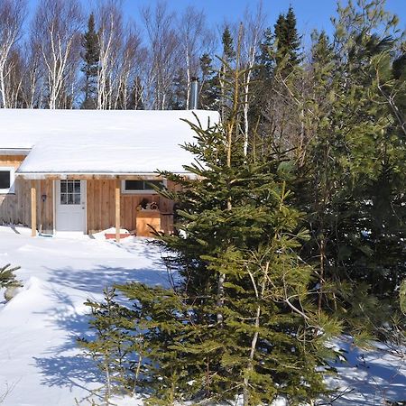 The Sleeping Moose Cottage Birch Plain Eksteriør billede