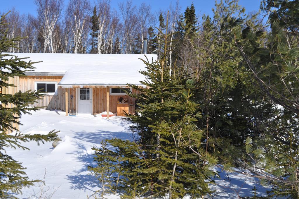 The Sleeping Moose Cottage Birch Plain Eksteriør billede
