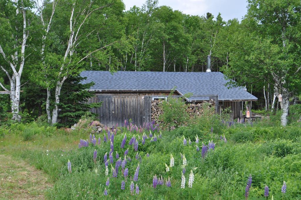 The Sleeping Moose Cottage Birch Plain Eksteriør billede