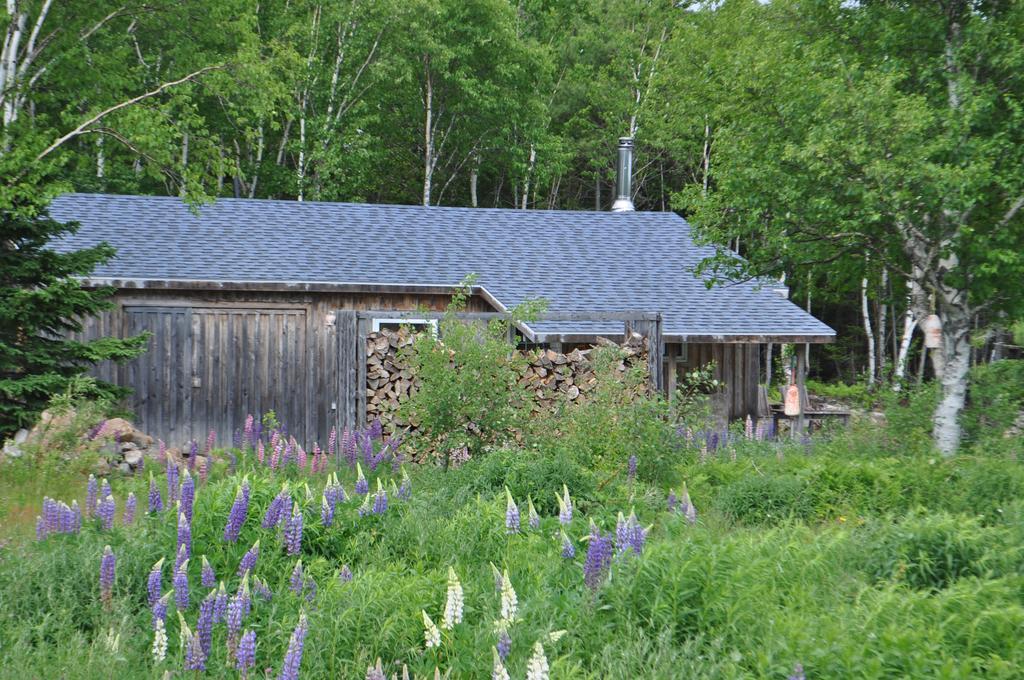 The Sleeping Moose Cottage Birch Plain Eksteriør billede