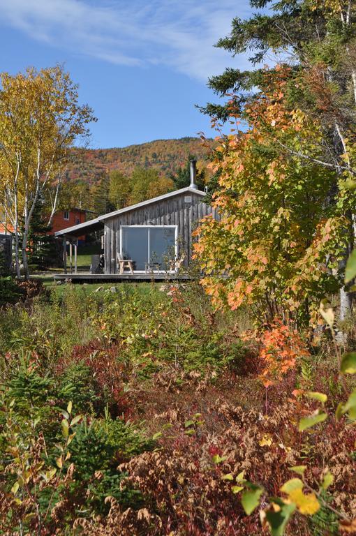 The Sleeping Moose Cottage Birch Plain Eksteriør billede